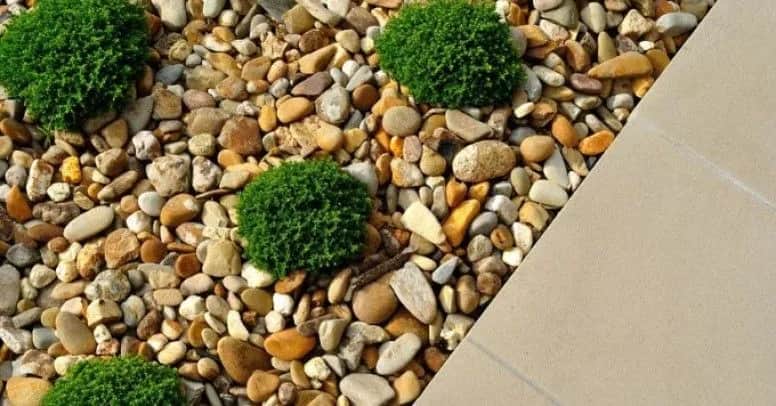 Jak czyścić żwir w ogrodzie: 6 skutecznych metod konserwacji